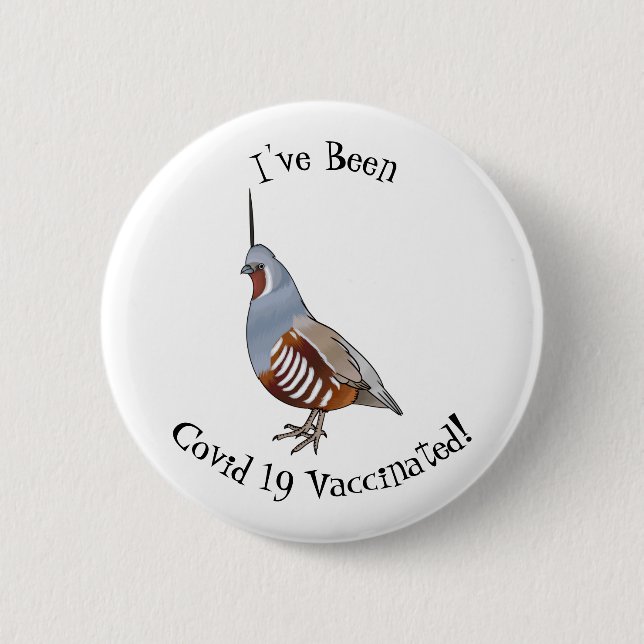 Mountain quail bird cartoon illustration 6 cm round badge (Front)