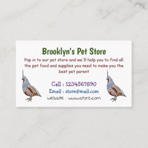 Mountain quail bird cartoon illustration business card