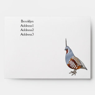 Mountain quail bird cartoon illustration envelope