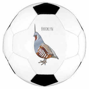 Mountain quail bird cartoon illustration football
