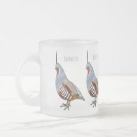 Mountain quail bird cartoon illustration