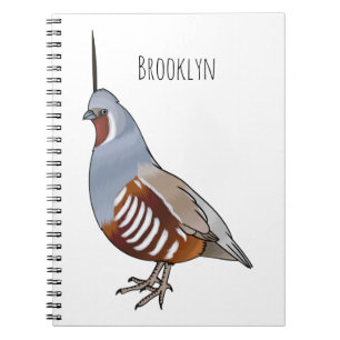 Mountain quail bird cartoon illustration notebook
