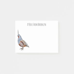 Mountain quail bird cartoon illustration   post-it notes
