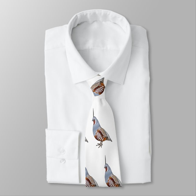 Mountain quail bird cartoon illustration  tie (Tied)