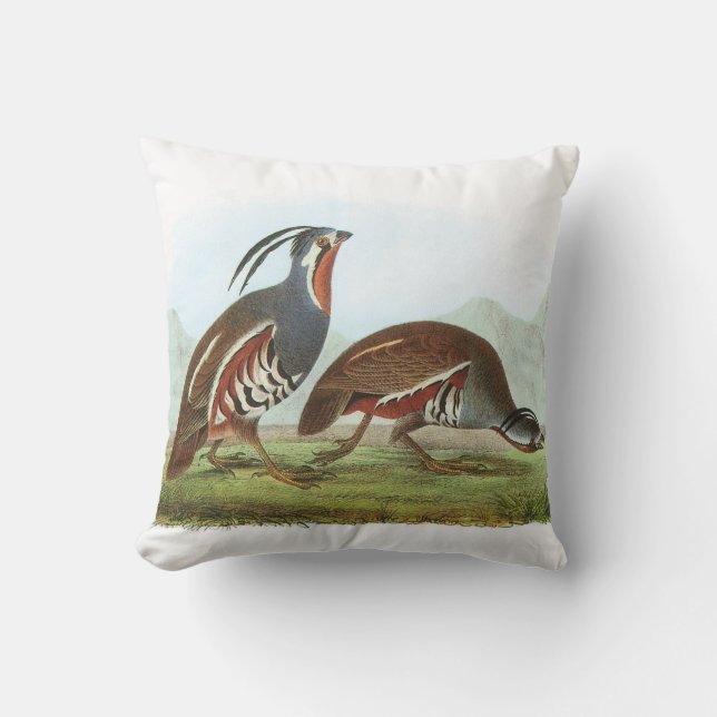 Mountain Quail by Audubon Cushion (Front)