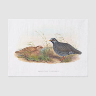 Mountain Quail Decoupage Tissue Paper