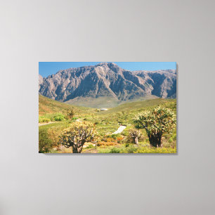 Mountain Range, Worcester Nature Reserve Canvas Print