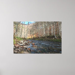 Mountain River in Autumn – Wild Nature Romania Canvas Print