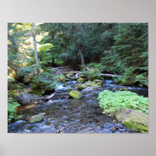 Mountain River Rocks Trees Poster
