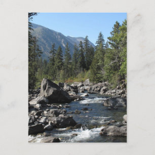 Mountain River Rugged Landscape Photo Postcard
