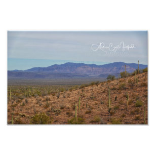 Mountain Saguaro Photo Print
