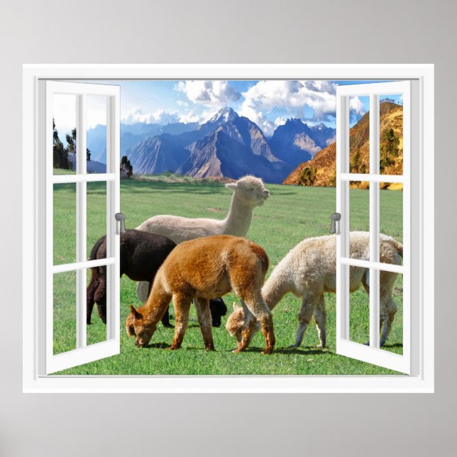Mountain Scene Alpaca Landscape Art Window View Poster (Front)