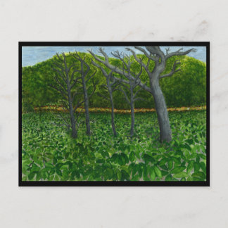 Mountain Serenity Postcard