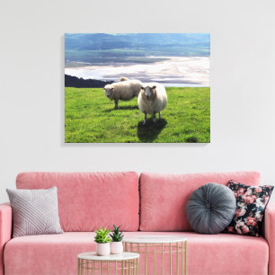 MOUNTAIN SHEEP CANVAS PRINT