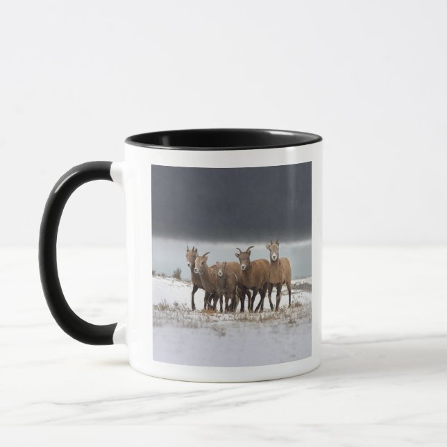 Mountain Sheep Family Mug (Left)