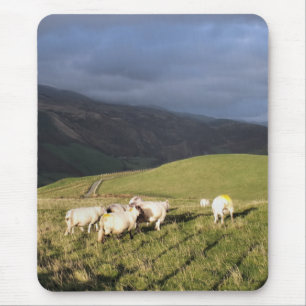 MOUNTAIN SHEEP MOUSE MAT