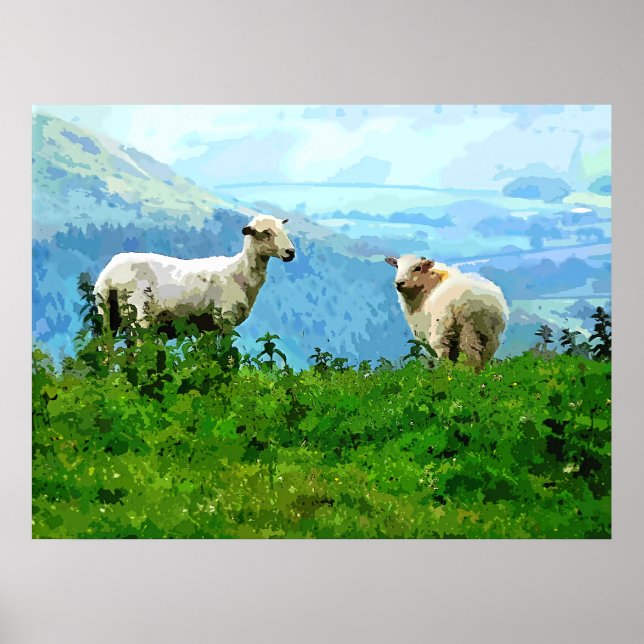 MOUNTAIN SHEEP POSTER (Front)