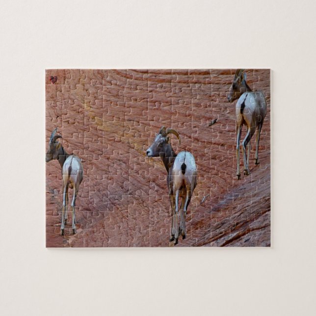 Mountain Sheep Utah Jigsaw Puzzle (Horizontal)
