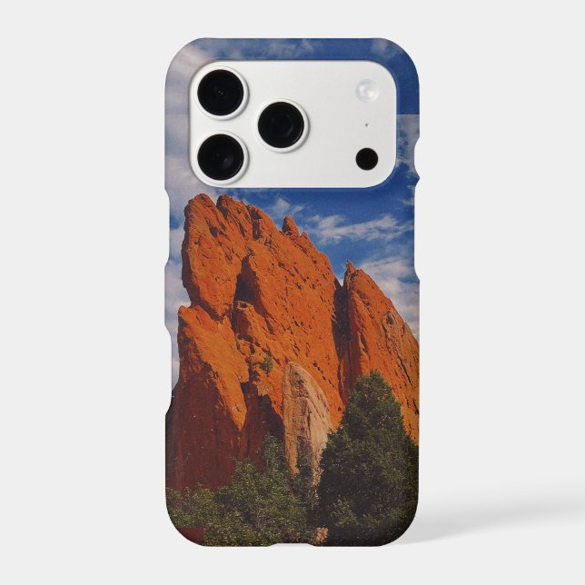 mountain spirit  (Back)