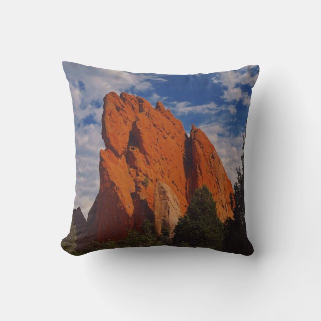 mountain spirit  cushion (Front)
