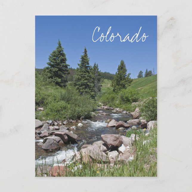 Mountain Stream Colorado Postcard (Front)