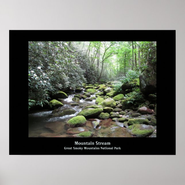 Mountain Stream Great Smoky Mountains Poster (Front)