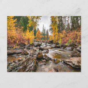 Mountain Stream in Autumn/Fall Photo Postcard