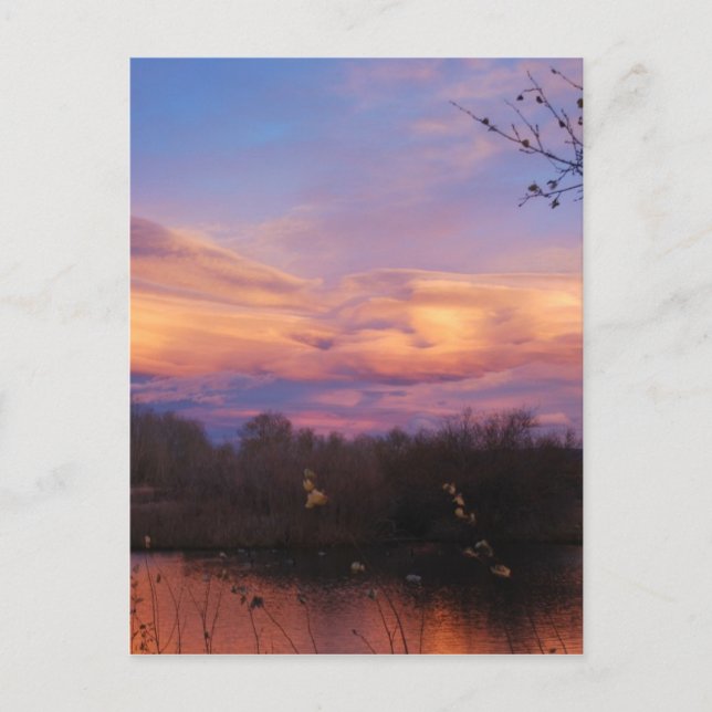 Mountain Sunset on Pond Postcard (Front)