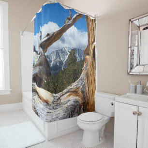 Mountain Through a Tree Shower Curtain