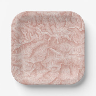 Mountain Topographic Map Paper Plate