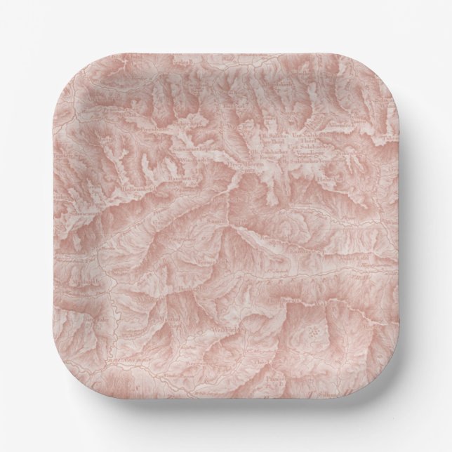 Mountain Topographic Map Paper Plate (Front)