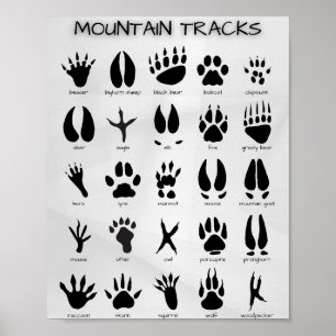 Mountain Tracks Poster