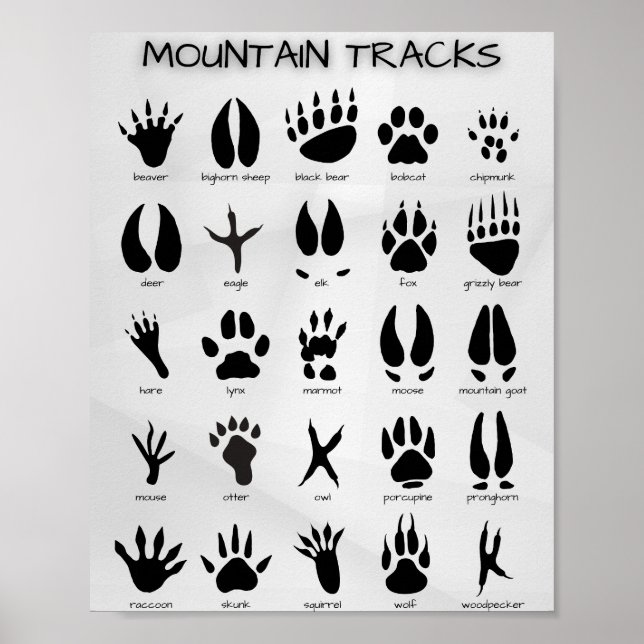 Mountain Tracks Poster (Front)