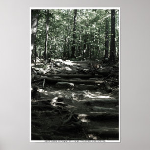 Mountain Trail Poster