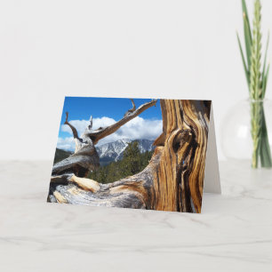 Mountain Tree Blank Inside All Occasion Greeting Card