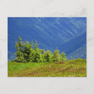 mountain trees postcard