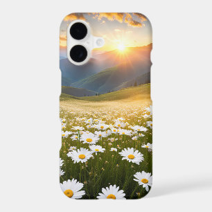 Mountain Valley Daisies