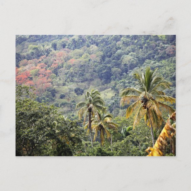 Mountain view, Dominican Republic. Postcard (Front)