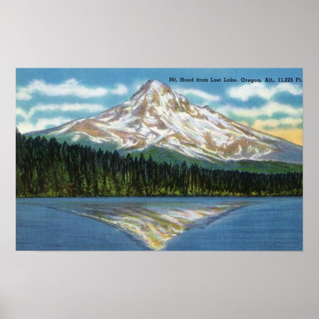 Mountain View from Lost Lake Poster (Front)