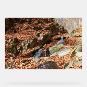 Mountain Waterfall - Wild Nature Romania Acrylic Sign