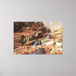 Mountain Waterfall - Wild Nature Romania Canvas Print