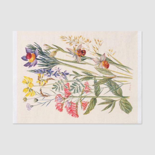 Mountain Wildflowers Vintage Print Tissue Paper (Front)