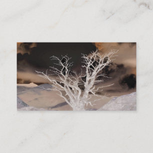 MOUNTAIN WINTER BUSINESS CARD