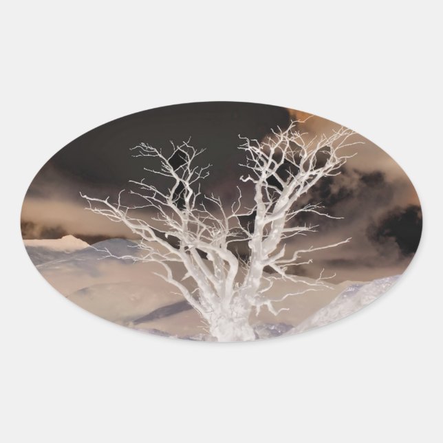 MOUNTAIN WINTER OVAL STICKER (Front)