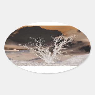 MOUNTAIN WINTER OVAL STICKER