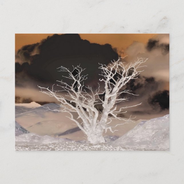 MOUNTAIN WINTER POSTCARD (Front)