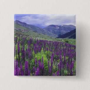 Mountains and wildflowers in alpine meadow, 2 15 cm square badge