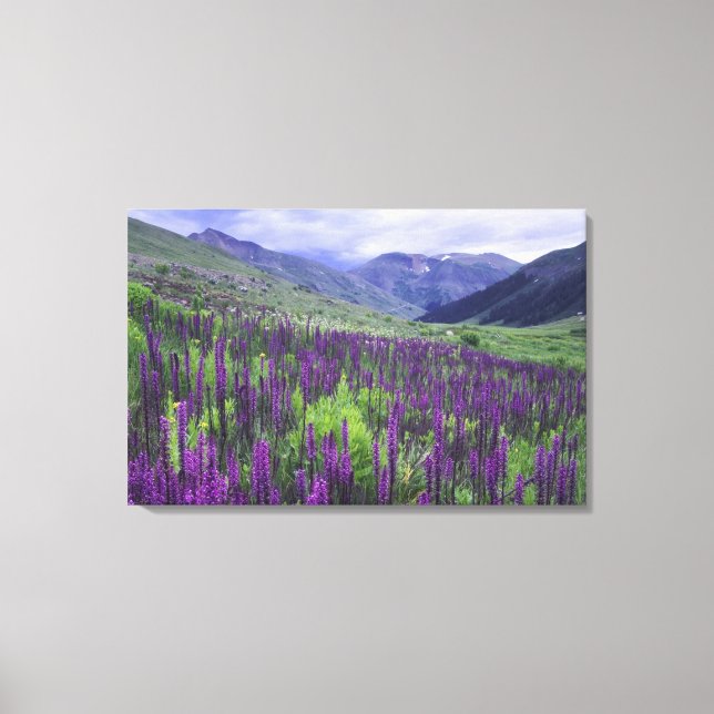 Mountains and wildflowers in alpine meadow, 2 canvas print (Front)