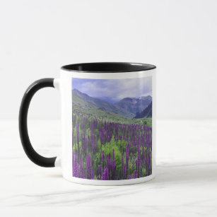 Mountains and wildflowers in alpine meadow, 2 mug