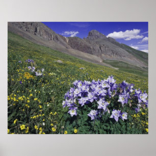 Mountains and wildflowers in alpine meadow, Blue Poster